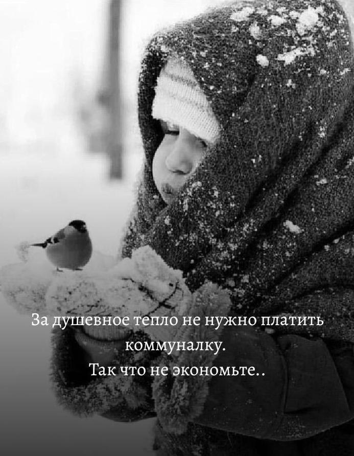 ������� ����� ������� ������ - 19 ������ 2026 � 17:21