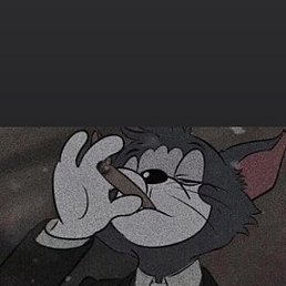 ������, ������, 24 ����