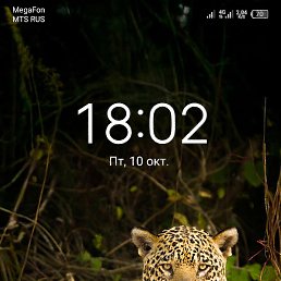 ������, ��������, 36 ���