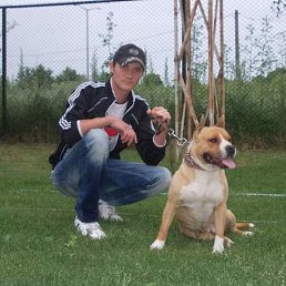 Home, ������, 39 ���