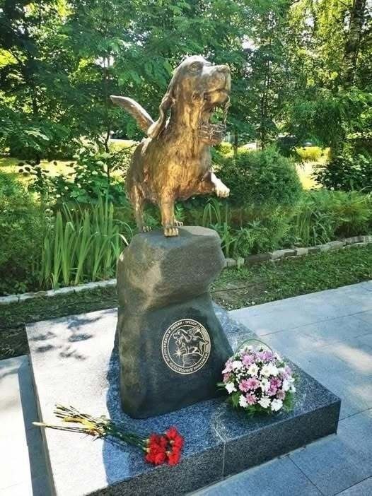 В середине 1960–х годов в Ленинграде в районе Парголово сносили деревянные дома, освобождали место ...