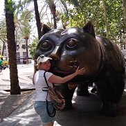 ����, 51 ���, ������