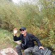 , 53 , 