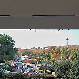 Xxxxxxx, ������, 35 ���