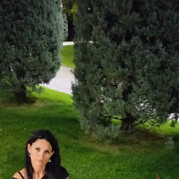 ���� ����, �������, 41 ��� - ��������� 9 ������� 2025