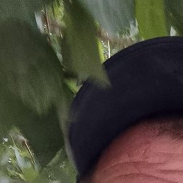 ������, ������, 44 ����