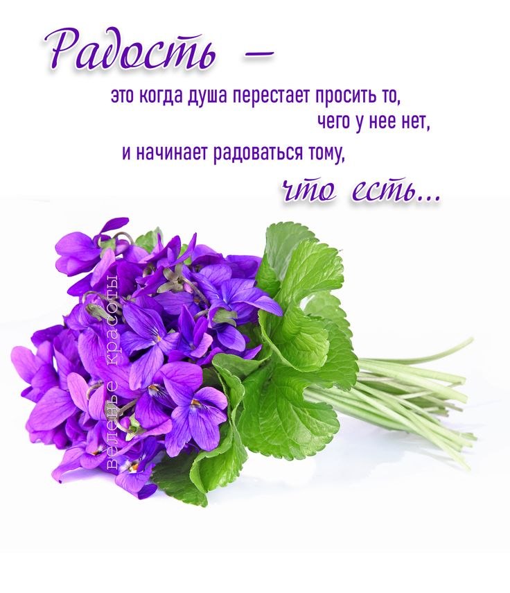 �������� ������ - 10 ���� 2026 � 06:38