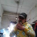 ���� ����, ���������, 45 ��� - ��������� 14 ������ 2026 � ������ ���� ����������