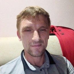 Sega, 46,  