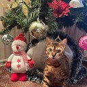 ���� &deg;&bull;&hearts;A����&hearts;&deg;, ������ - ��������� 13 ������� 2023 � ������ ���� ����������
