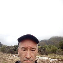 , 50, 