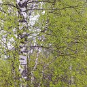 ���� ������, �������, 64 ���� - ��������� 6 ��� 2025 � ������ ���� ����������