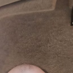 , 41, 