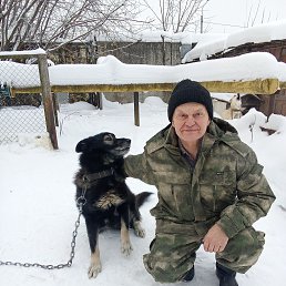 ���� ϸ��, ��������, 66 ��� - ��������� 26 ����� 2026