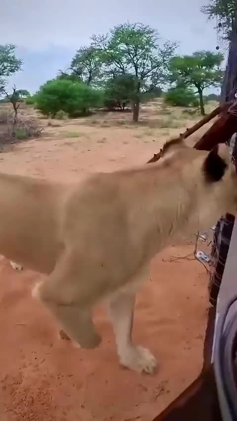 ���������� ����!!