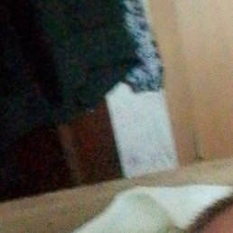 �������, �����-���������, 48 ���