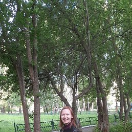 �����, �������, 46 ���