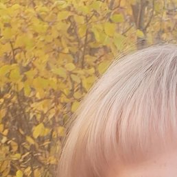 ���, ��������, 49 ���