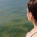 ���� �����, ��������, 31 ��� - ��������� 2 �������� 2025 � ������ ���� ����������
