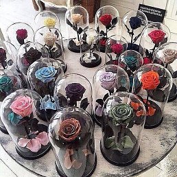 ���� �������, ������������, 43 ���� - ��������� 4 ������ 2024