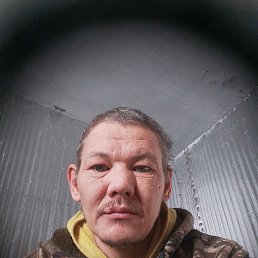 ����, 37 ���, �����������