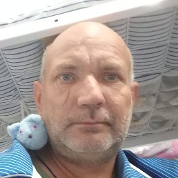 ����, ������, 50 ���