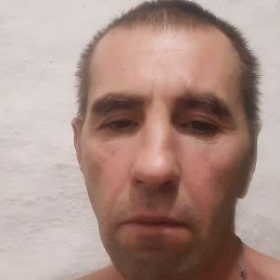 ����, ������, 47 ���