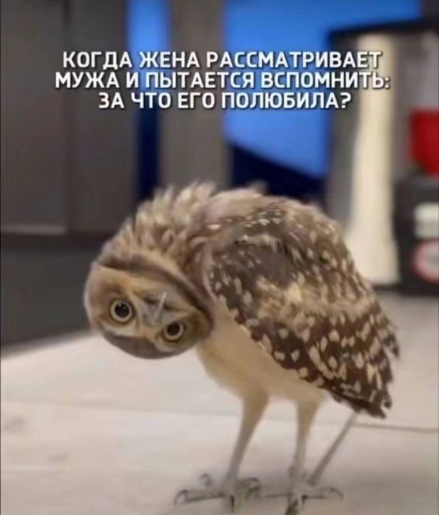 �������� ������ - 2 ���� 2026 � 09:26