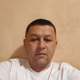 , 38, 