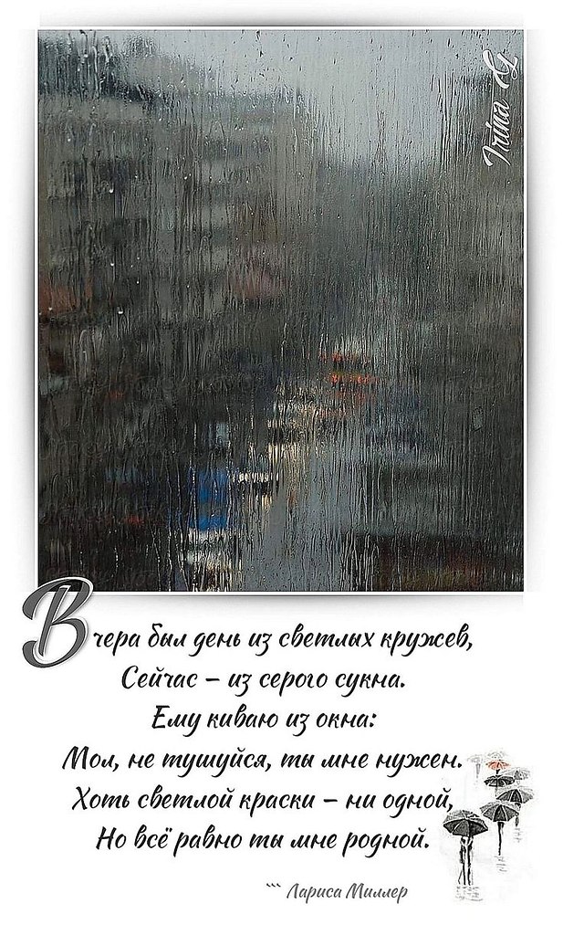   ,    . - 11  2025  19:55