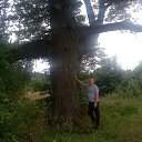 ���� ����, �������, 47 ��� - ��������� 21 ������� 2026