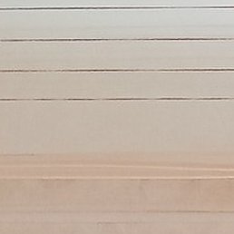 ����, �����, 51 ���