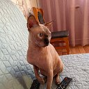 ���� Alina, ���� - ��������� 12 ����� 2025 � ������ ������ ��������