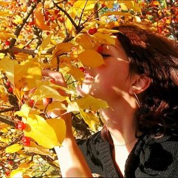 ���� �����, ������, 50 ��� - ��������� 17 ������ 2024