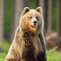 ������, ������, 29 ���