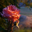 ���� ������, ������, 53 ���� - ��������� 28 ��� 2025 � ������ ���� ����������
