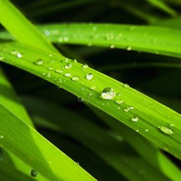 ��������, ������, 28 ���