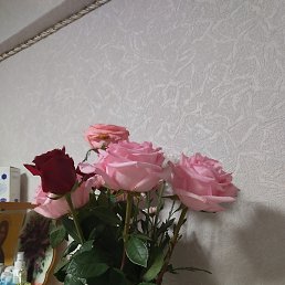 �������, �������������, 43 ����