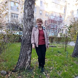 �����, ����������, 55 ���