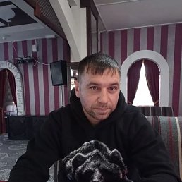 , 37, 