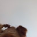 ���� �����, ������, 41 ��� - ��������� 6 ������ 2024 � ������ ���� ����������