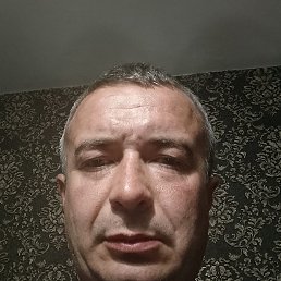 , 36, 