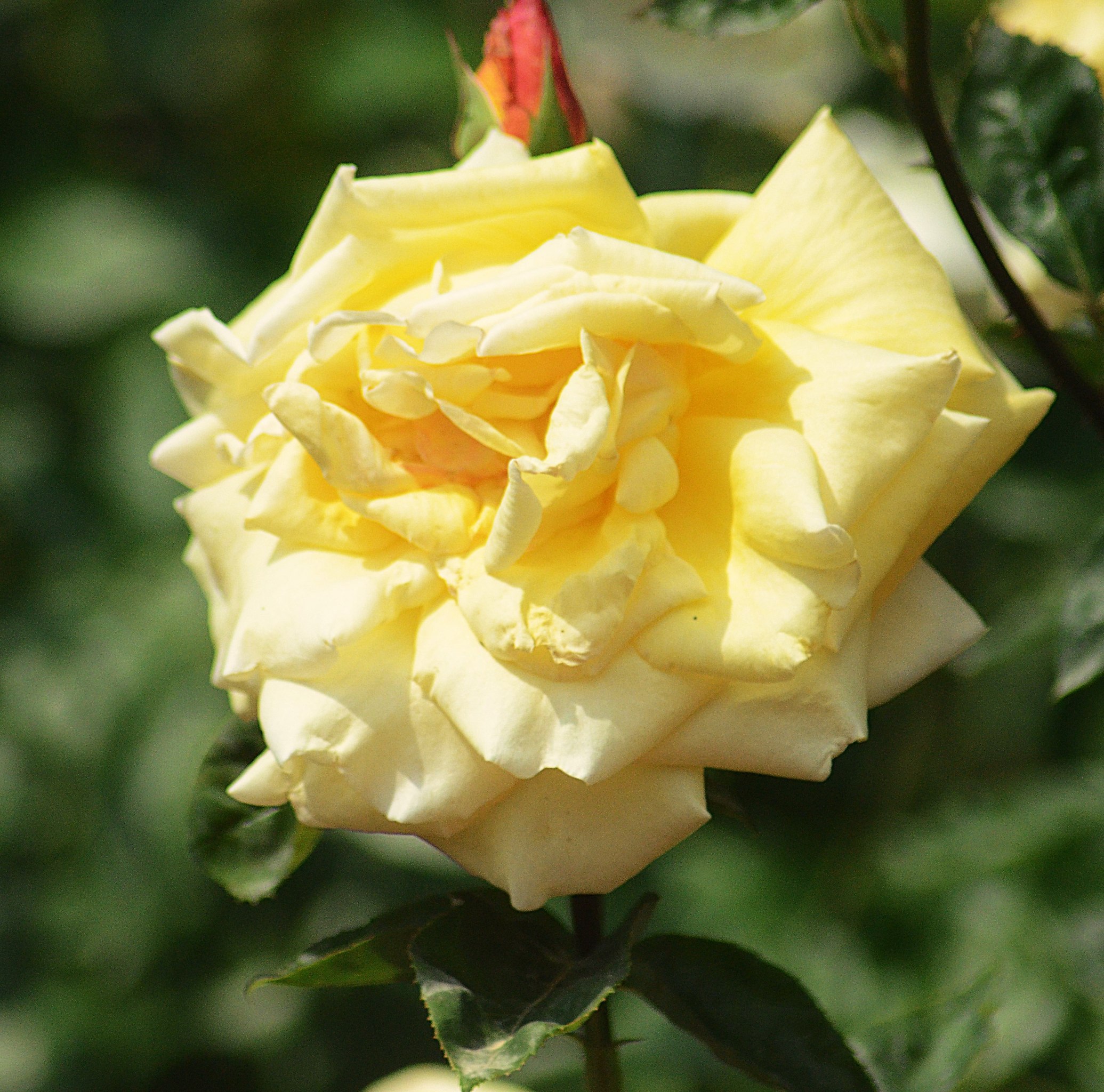 Aleksandr Voznii - 3  2025  19:09 - 6