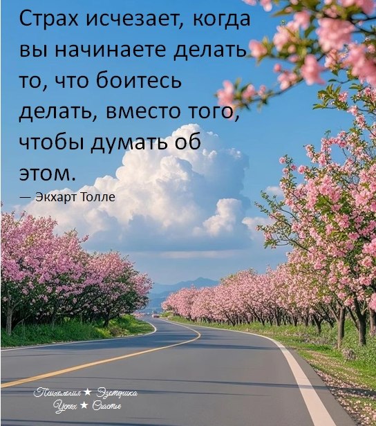 �������� ������ - 9 ���� 2026 � 14:35