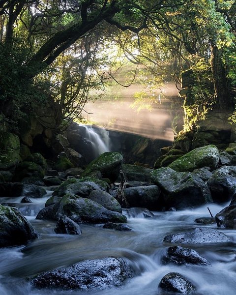 ��, ��� ������ ������� ���� ���������, �� ���� �� ��������� ����� ��������� ���. � ������� ����� - 6