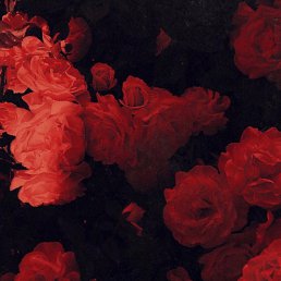 ������, ������, 26 ���