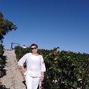  Larisa, , 49  -  10  2024