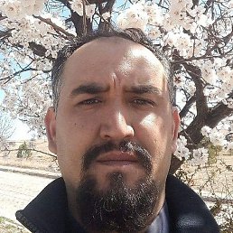 ,���, ��������, 39 ���