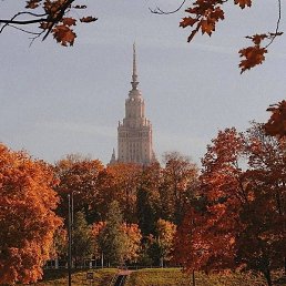 ����, ������, 51 ���