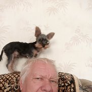 �������, 72 ����, ����